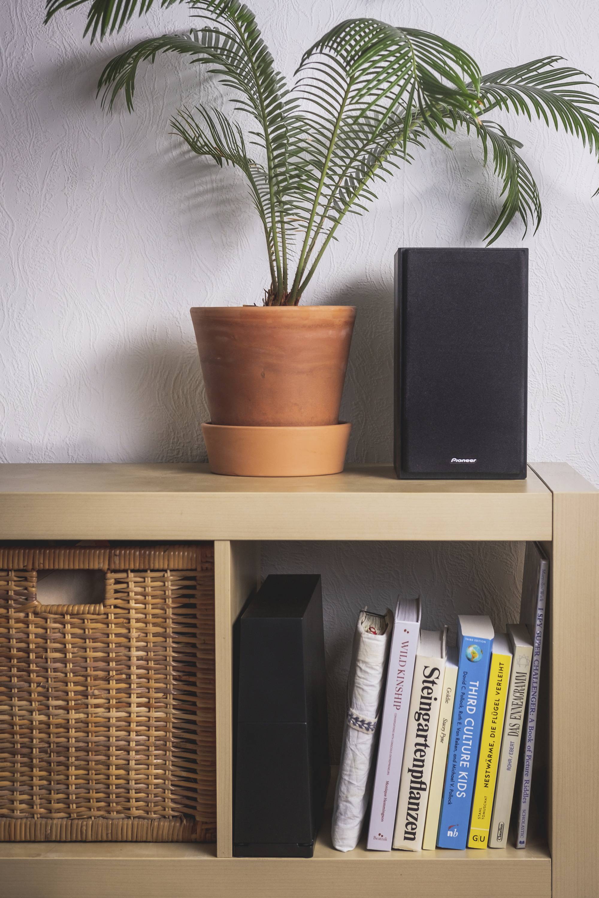 Analogis "Wash n Play 2" Schallplattenreiniger 1St.