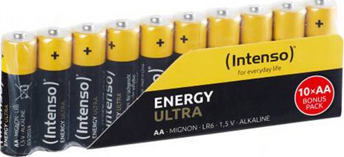 Intenso 10 x AA Mignon Alkaline Batterien