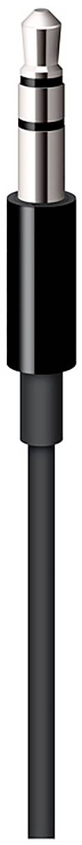 Apple iPhone, iPad, MacBook [1x Apple Lightning-Stecker - 1x Klinkenstecker 3.5 mm] 1.20 m Schwarz