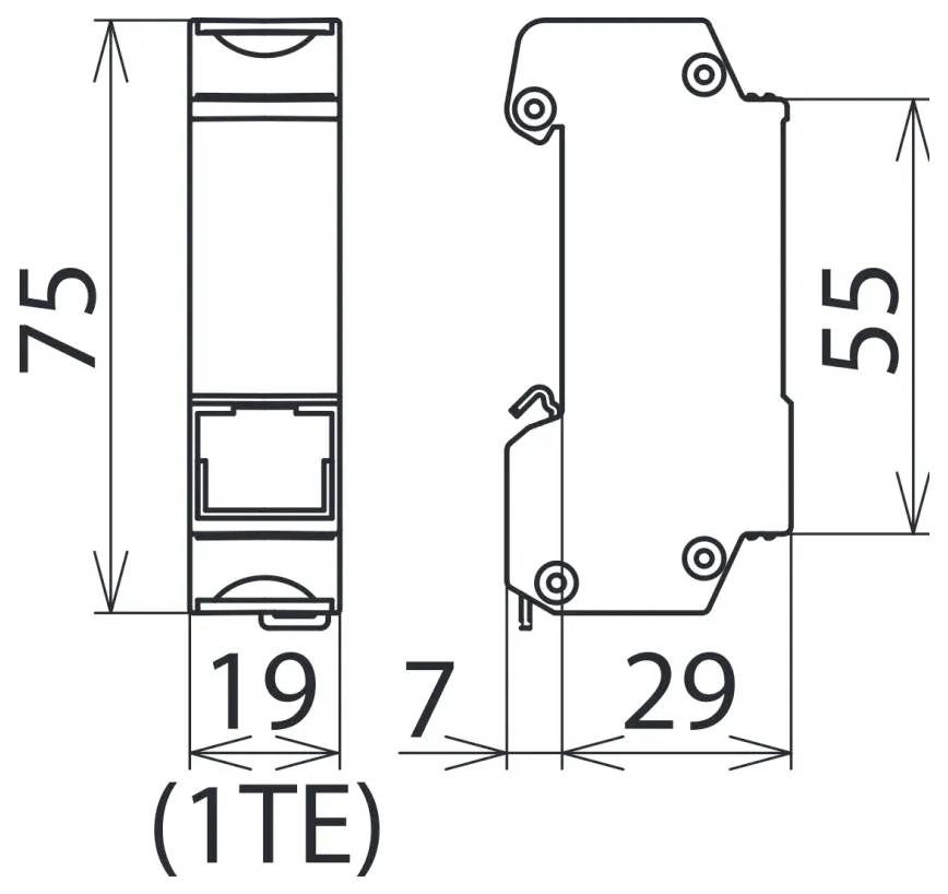 Elektrisches Komponentendiagramm mit Maßangaben: 75 mm Höhe, 19 mm Breite, beschriftet mit '1TE', 29 mm Tiefe und 55 mm Höhe für Seitenansicht.