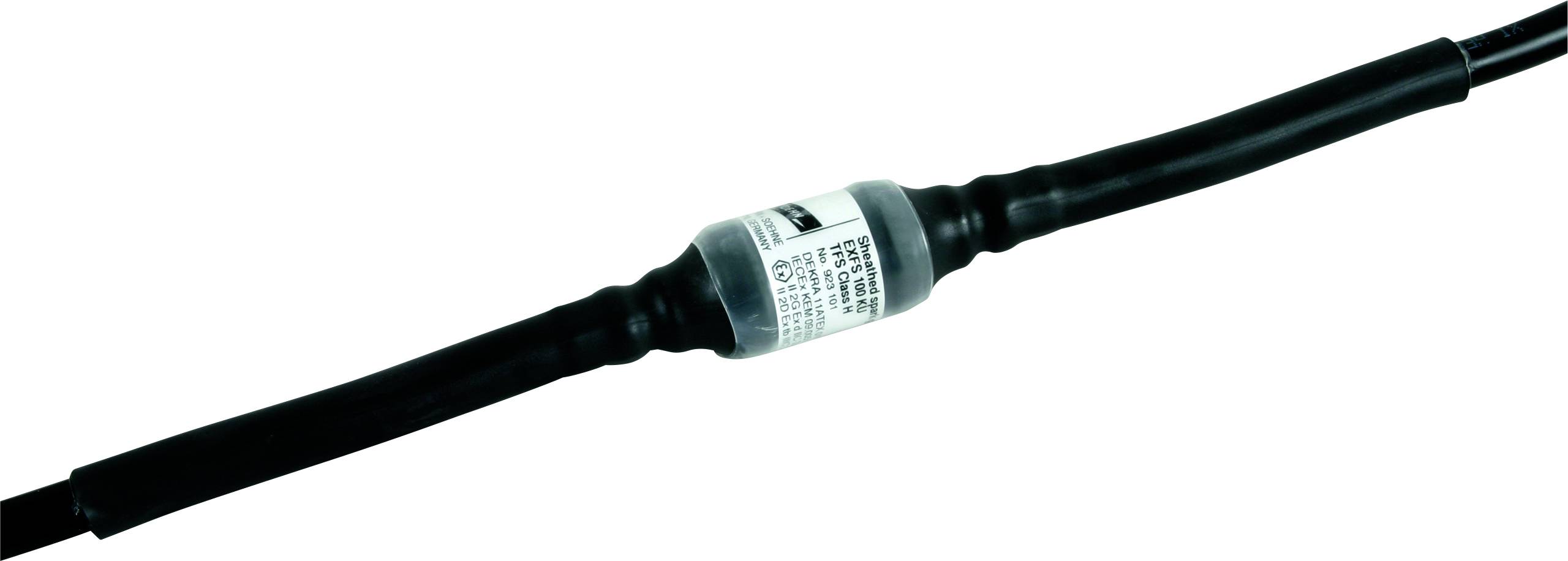 DEHN 923101 EXFS 100 KU Funkenstrecke 100 kA 1St.