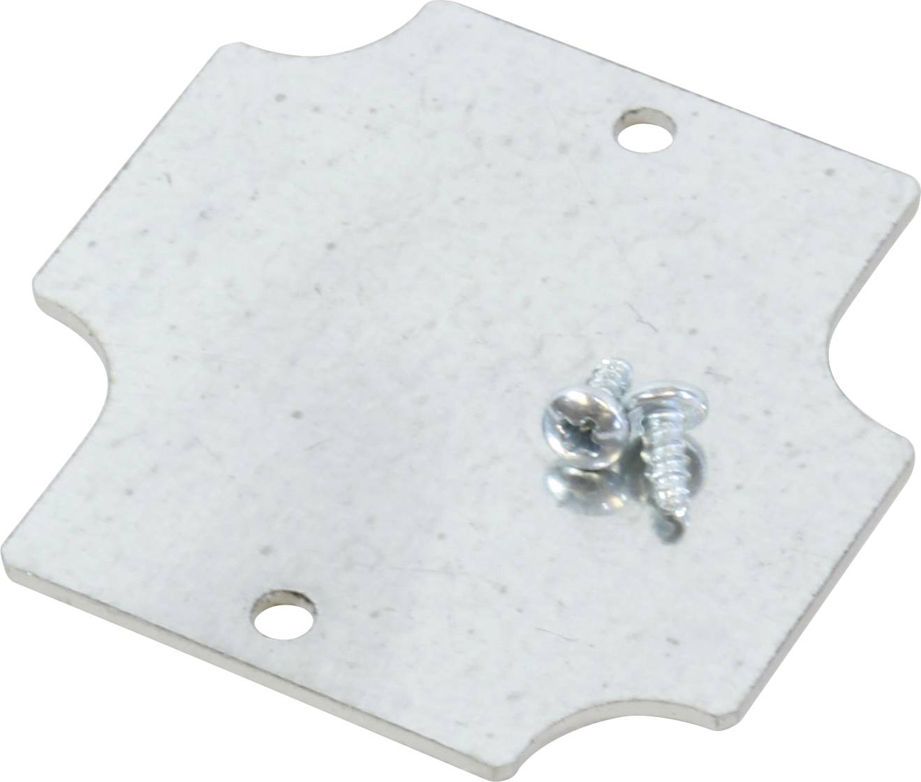 Metallplatte mit abgerundeten Ecken und drei Löchern; zwei kleine Schrauben liegen darauf.