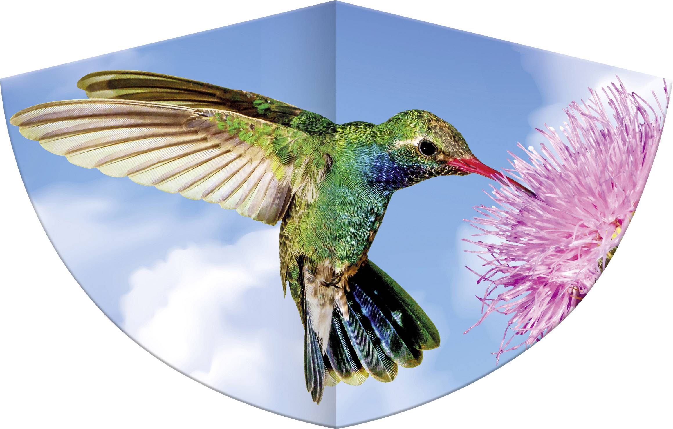 Günther Flugspiele Einleiner Drachen KOLIBRI Spannweite (Details) 750 mm Windstärken-Eignung 3 - 6 bft