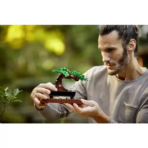10281 LEGO® ICONS™ Bonsai Baum 10281 LEGO® ICONS™ Bonsai Baum