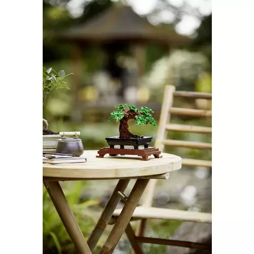 10281 LEGO® ICONS™ Bonsai Baum 10281 LEGO® ICONS™ Bonsai Baum