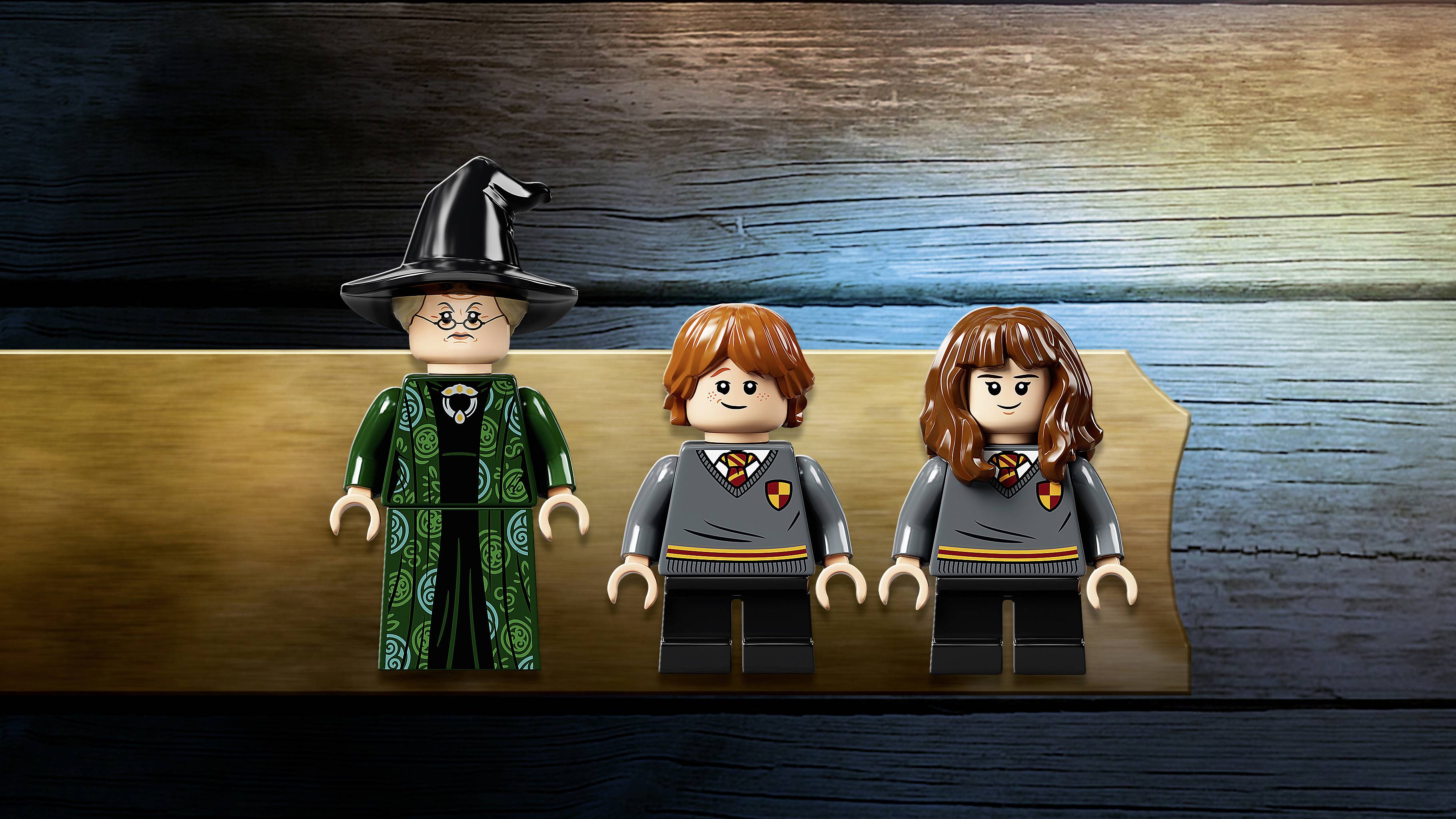 76382 LEGO® HARRY POTTER™ Hogwarts™ Moment: Verwandlungsunterricht