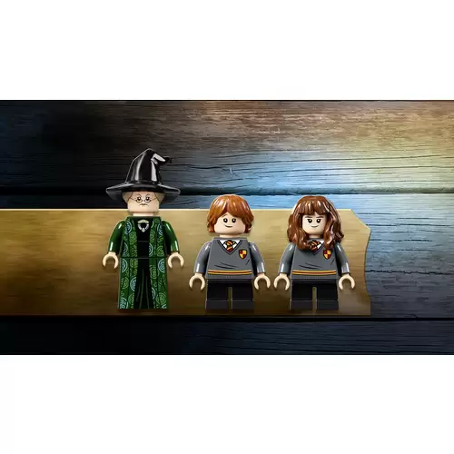 76382 LEGO® HARRY POTTER™ Hogwarts™ Moment: Verwandlungsunterricht 76382 LEGO® HARRY POTTER™ Hogwarts™ Moment: Verwandlungsunterricht