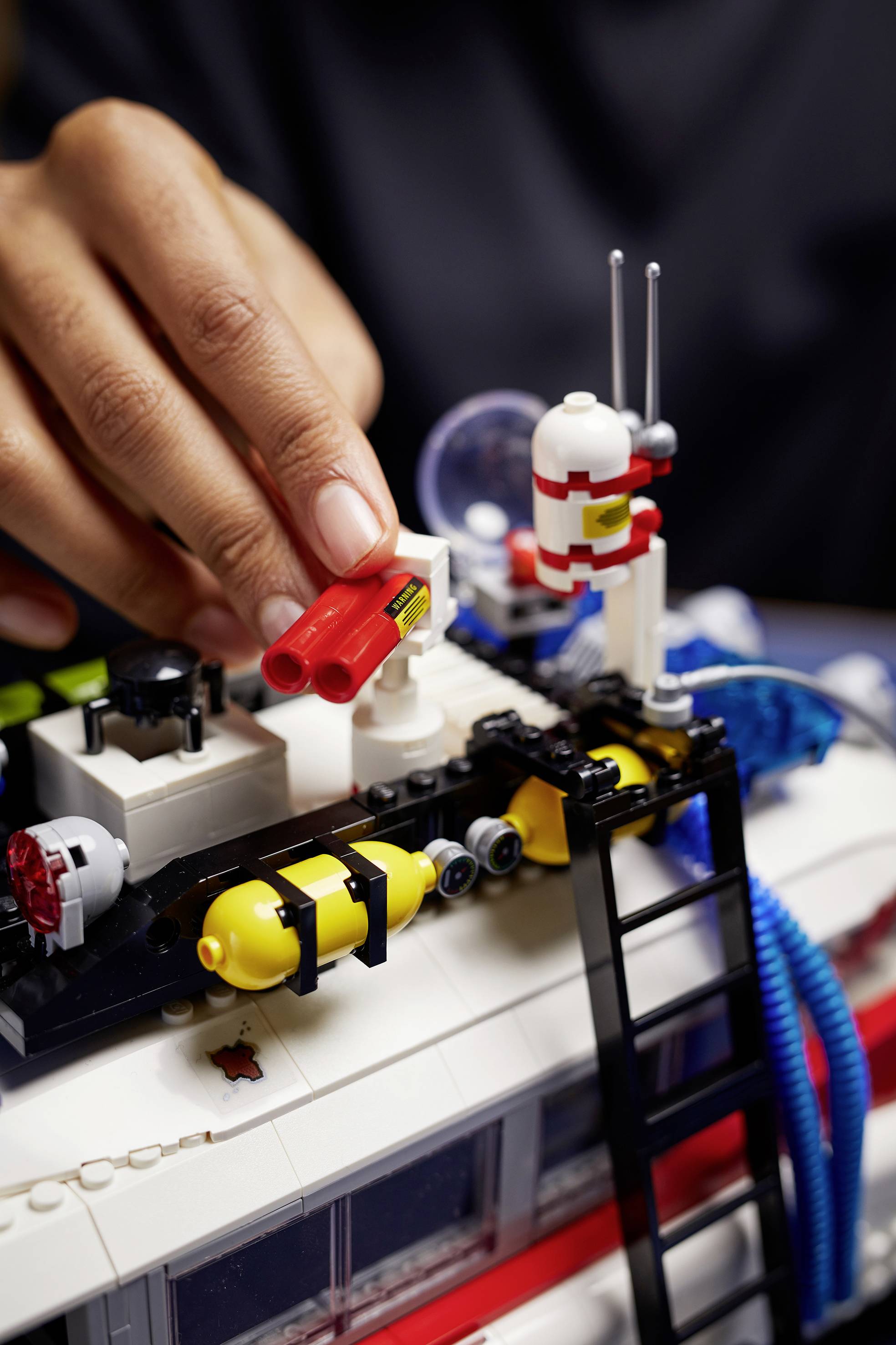 LEGO® ICONS™ 10274