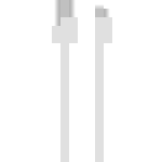 RealPower Câble USB USB 2.0 USB-A mâle, Connecteur Lightning 1.00 m blanc 255649
