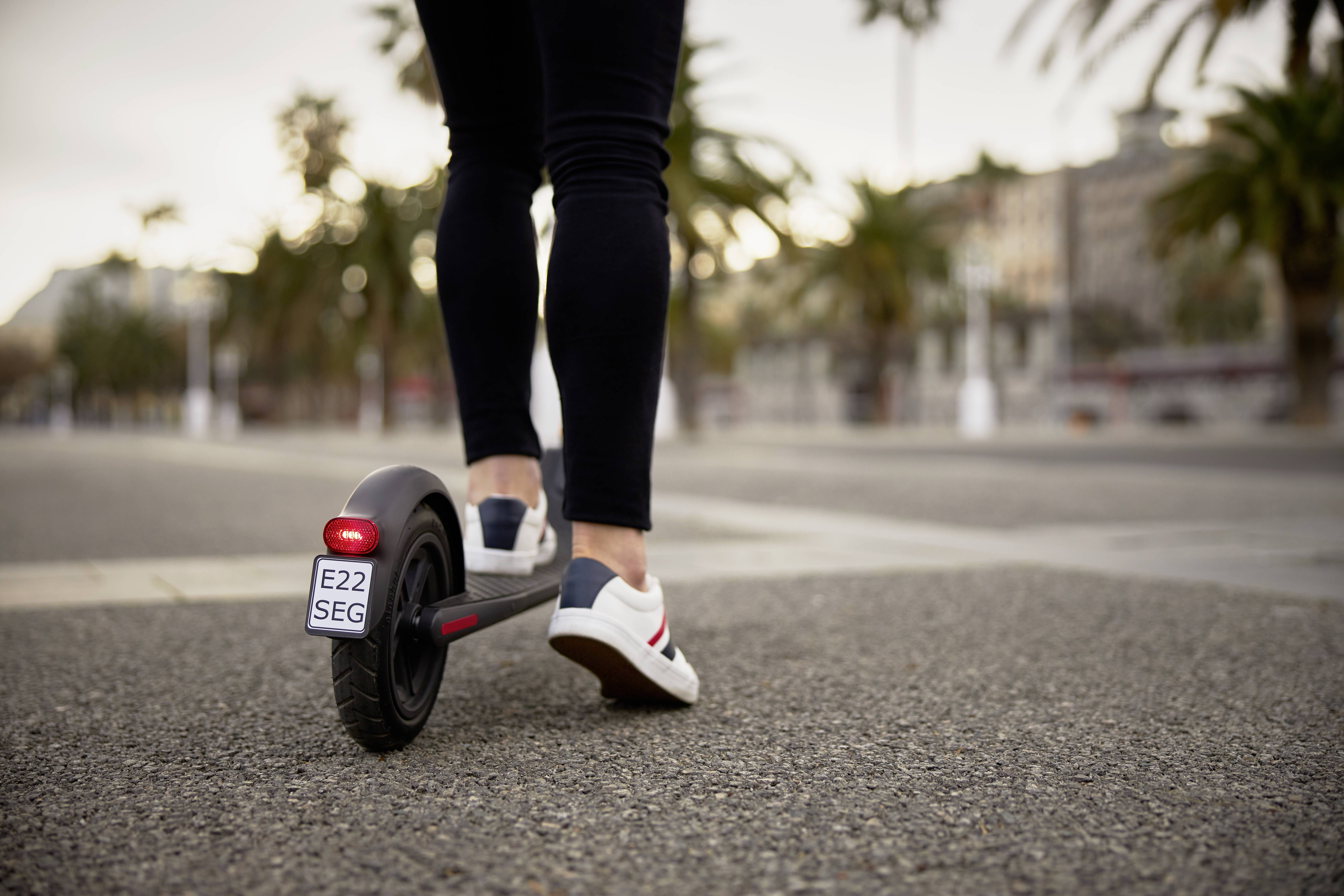 Segway Ninebot E22D by Segway E-Scooter Schwarz Li-Ion 36 V 5.1 Ah Straßenzulassung: Deutschland