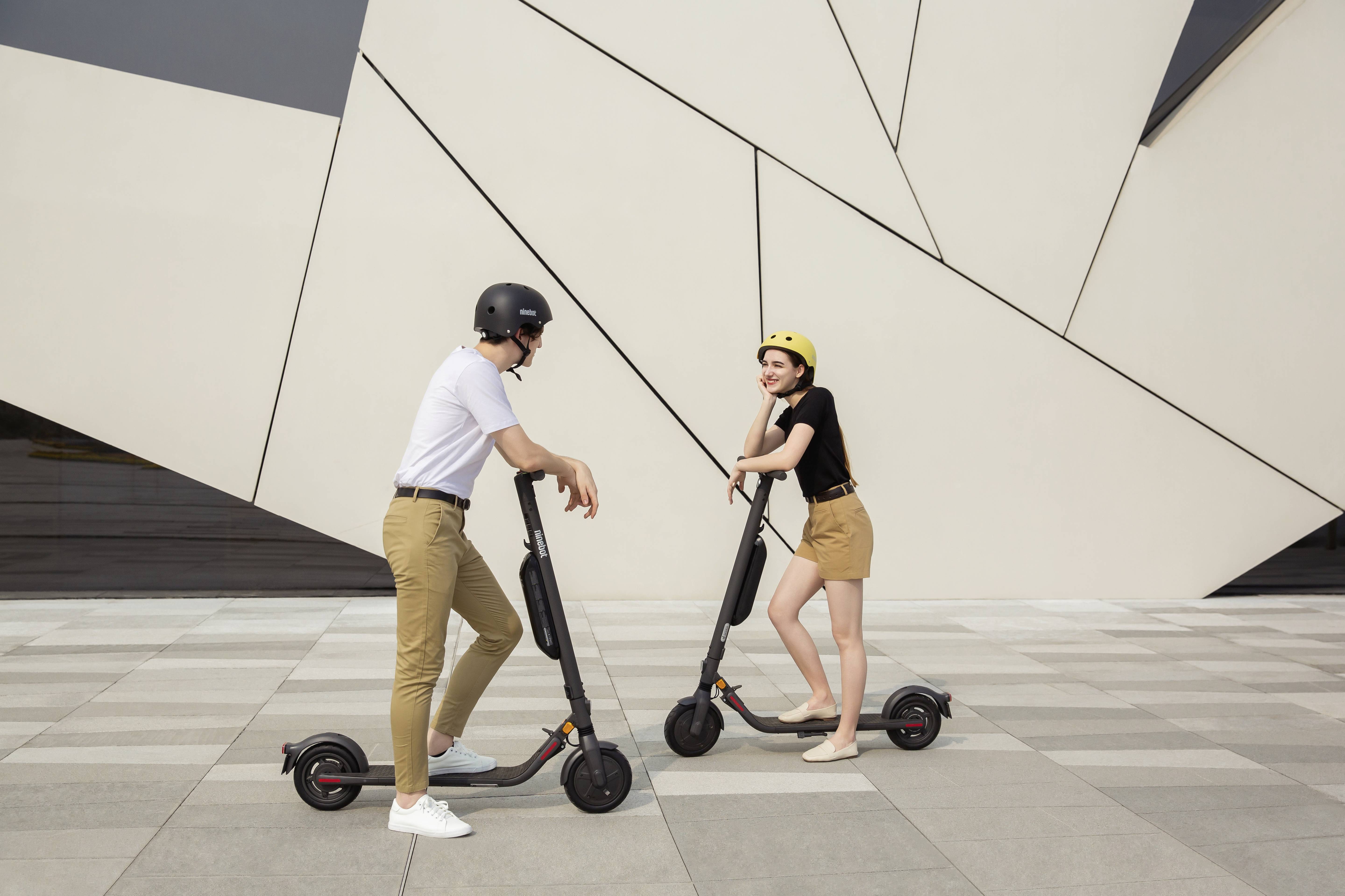 Segway Ninebot E45D by Segway E-Scooter Schwarz Li-Ion 36 V 10.2 Ah Straßenzulassung: Deutschland