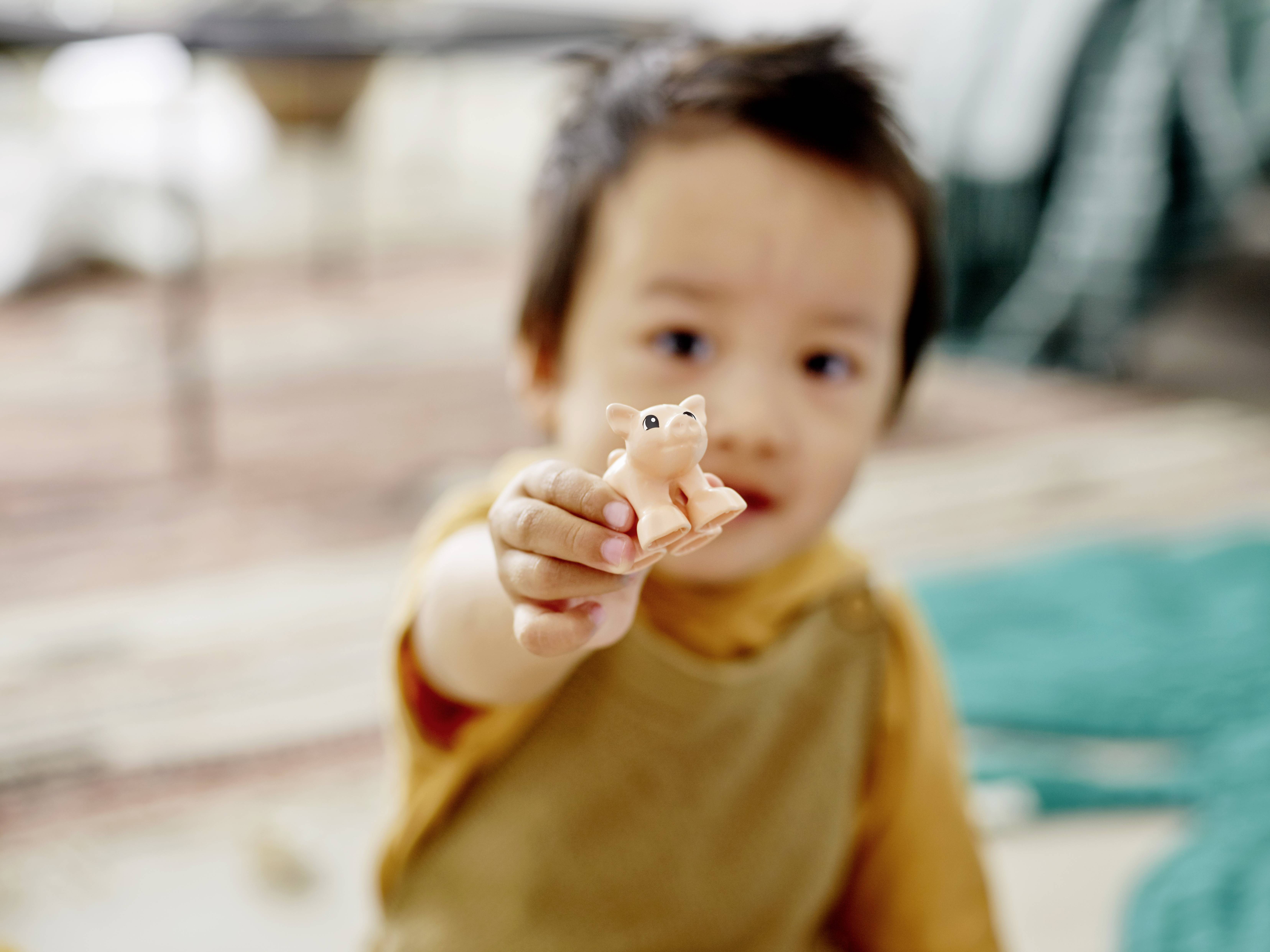 10949 LEGO® DUPLO® Tierpflege auf dem Bauernhof