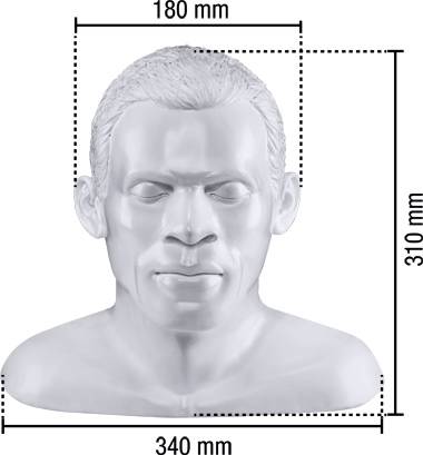 Büste eines Menschen mit Maßangaben: 180 mm Breite des Kopfes, 340 mm Gesamtbreite, 310 mm Höhe.