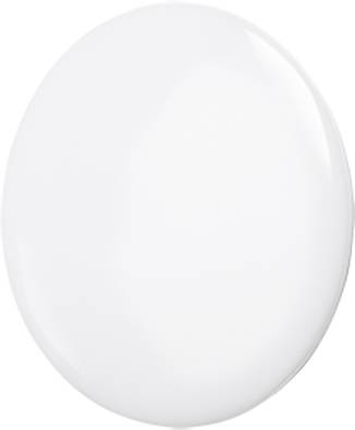 Eine ovale, glatte und glänzende weiße Fläche.