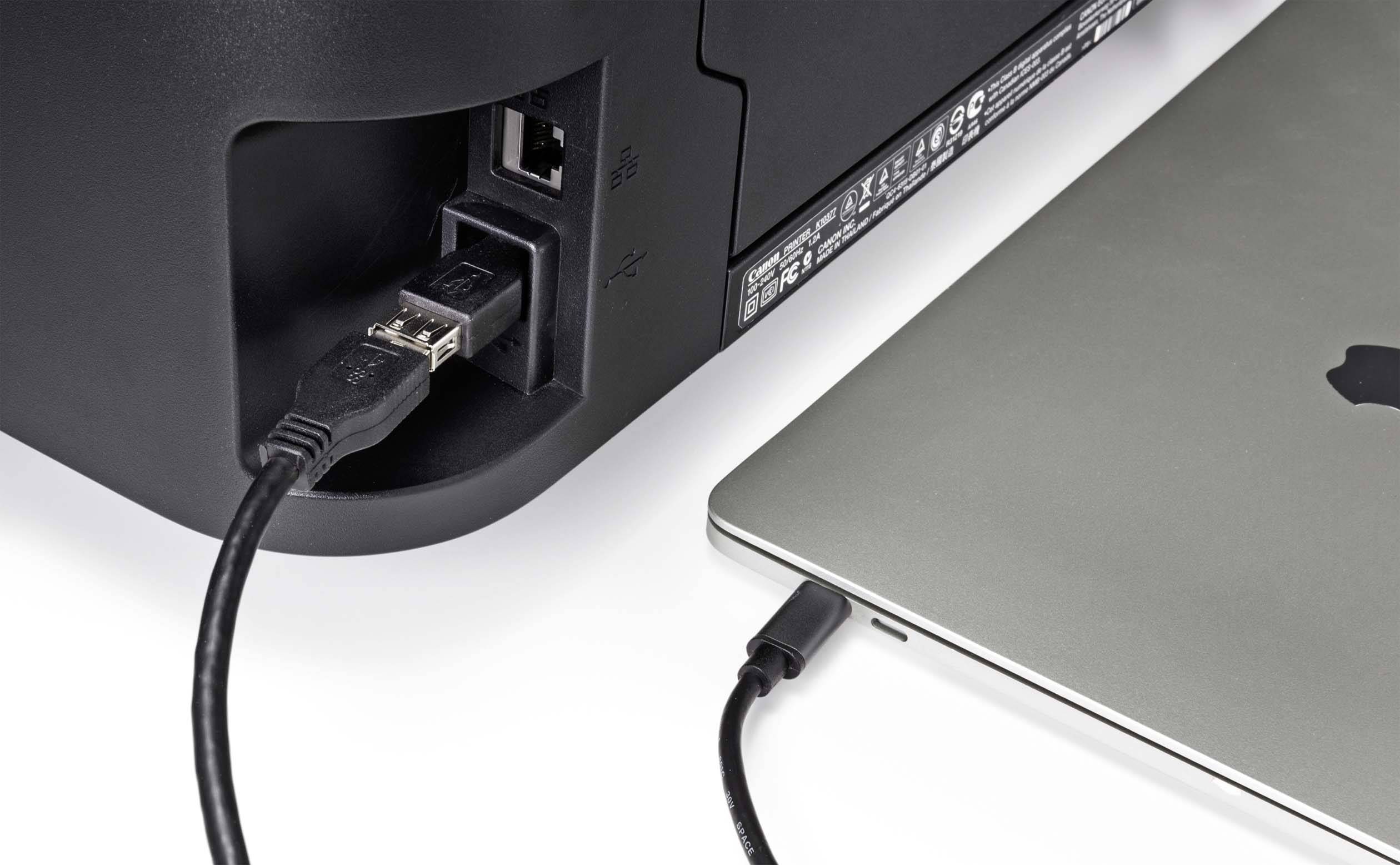 Rückseite eines Druckers, der über ein USB-Kabel mit einem Laptop verbunden ist. Der Laptop zeigt einen USB-C-Anschluss.