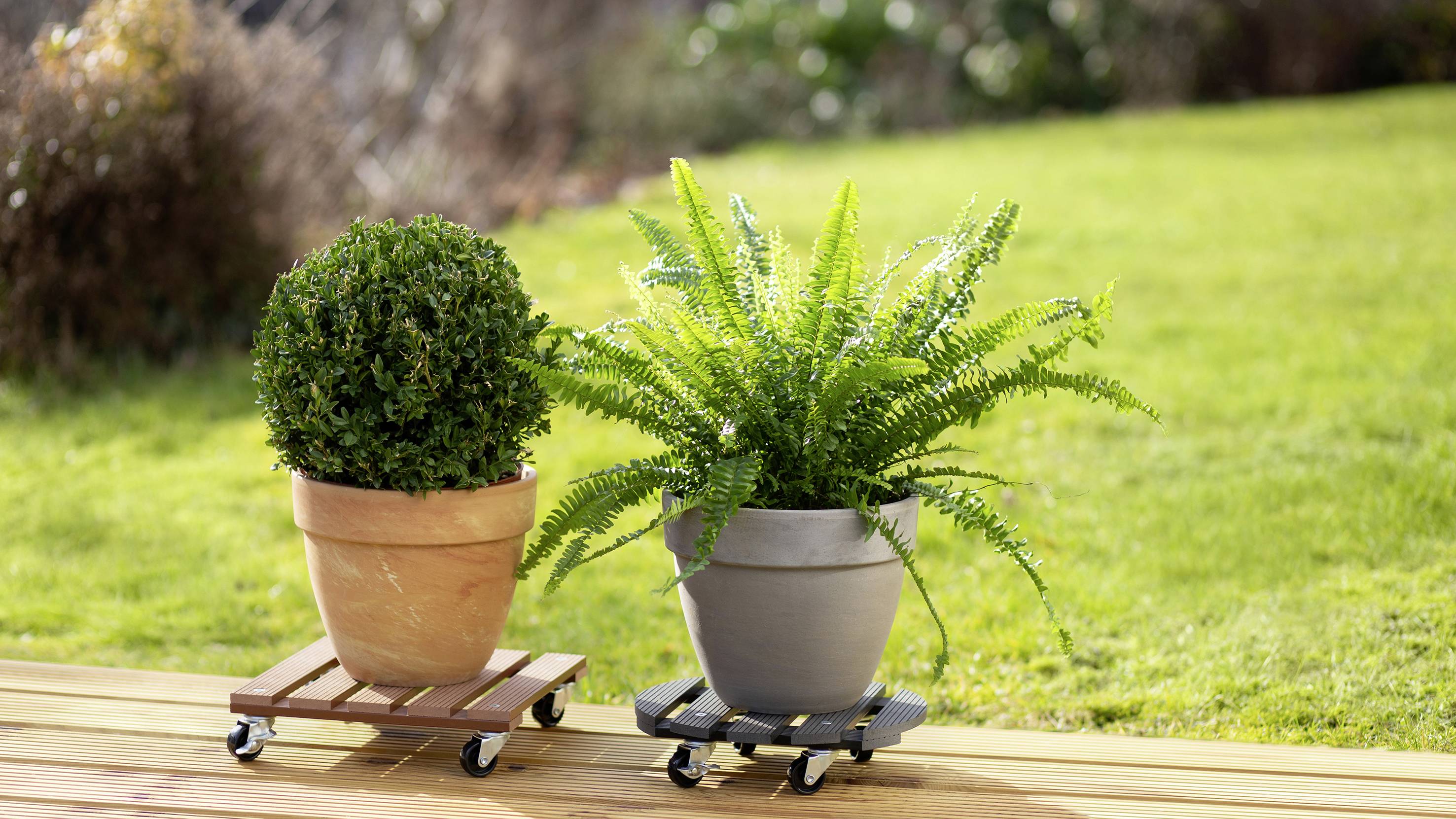 Metafranc WU0825100 Transportroller WPC Traglast (max.): 60kg 300mm x 300mm x 73mm Anzahl Lenkrollen 4