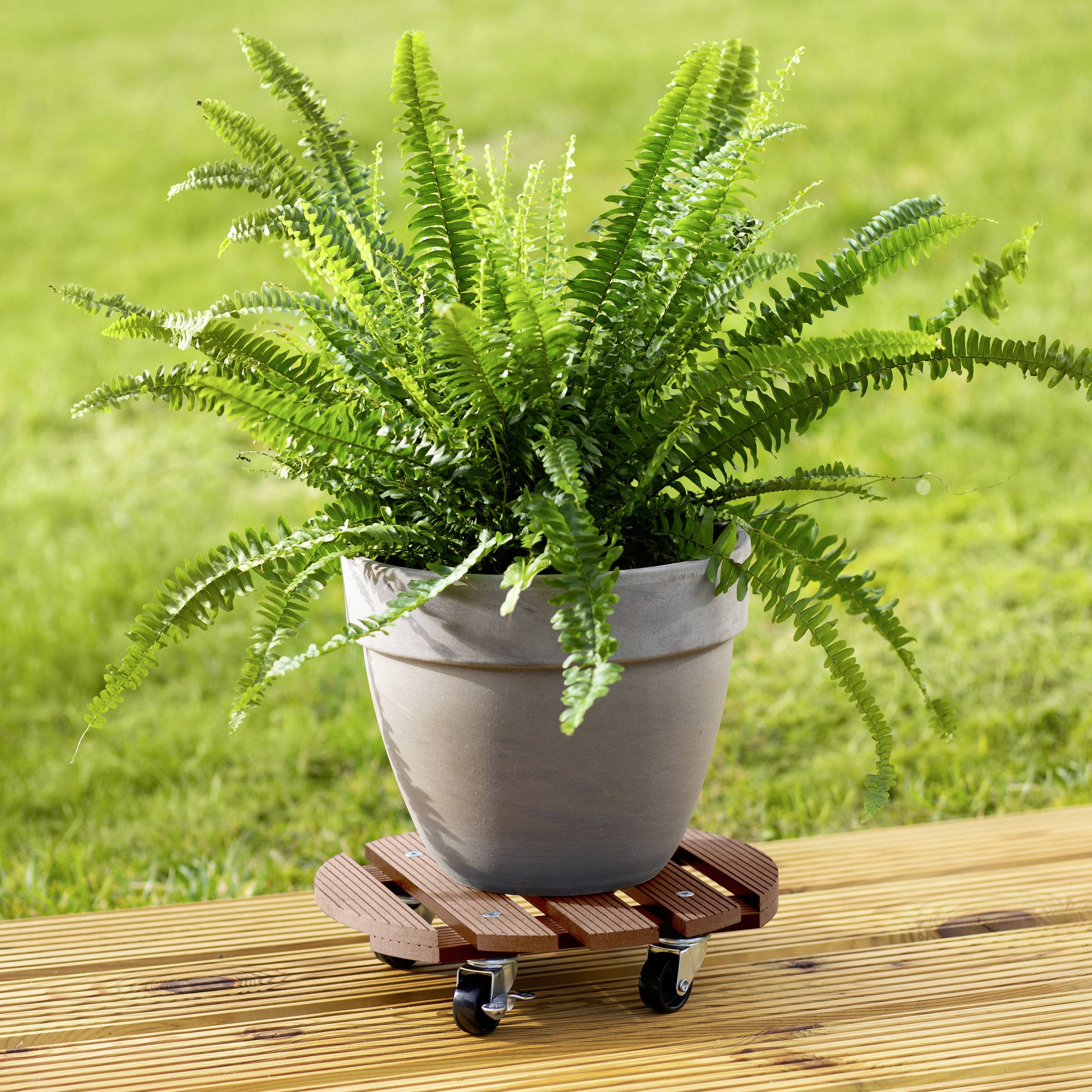 Metafranc WU0825120 Transportroller WPC Traglast (max.): 60kg 300mm x 73mm Anzahl Lenkrollen 4