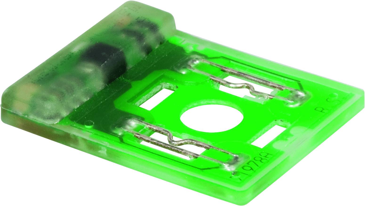 Grüner elektrischer Sicherungshalter mit zwei Anschlüssen und transparentem Gehäuse auf weißem Hintergrund.