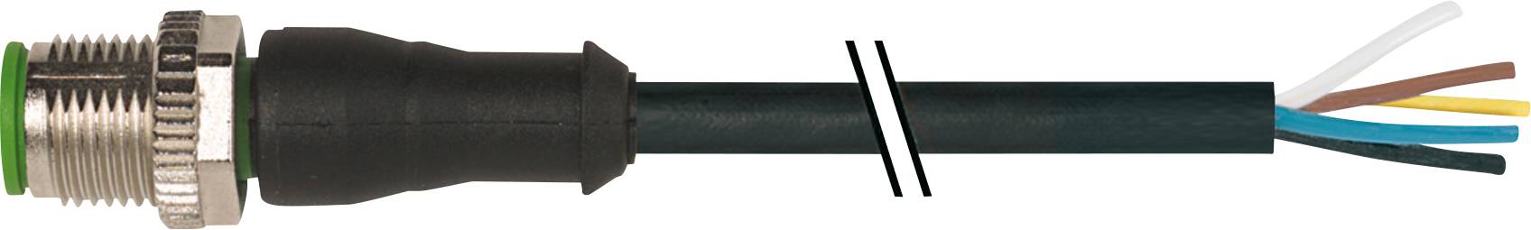 Stecker mit geöffnetem Kabel: Fünf unterschiedlich farbige Drähte verlaufen vom Kabelmantel zum Steckeranschluss.