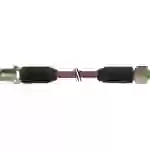 Murrelektronik 7000-40531-8030600 Sensor-/Aktor-Steckverbinder, konfektioniert M12 x 1 Stecker, gerade, Buchse, gerade 6.00m Murrelektronik 7000-40531-8030600 Sensor-/Aktor-Steckverbinder, konfektioniert M12 x 1 Stecker, gerade, Buchse, gerade 6.00m