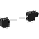 Murrelektronik Doppelventilstecker mit Anschlussleitung Grau 7000-41561-2260000 Inhalt: 1St.