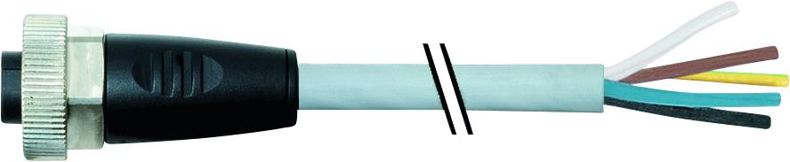 Abisoliertes Kabel mit fünf verschiedenfarbigen Drähten: weiß, braun, gelb-grün, blau und schwarz.