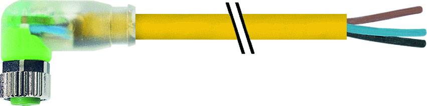 Murrelektronik 7000-08121-0300500 Sensor-/Aktor-Steckverbinder, unkonfektioniert M8 x 1 Buchse, gewinkelt 5.00m Polzahl Sensoren