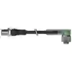 Murrelektronik 7000-40361-6550060 Sensor-/Aktor-Steckverbinder, konfektioniert M12 x 1 Stecker, gerade, Buchse, gewinkelt 0.60m Murrelektronik 7000-40361-6550060 Sensor-/Aktor-Steckverbinder, konfektioniert M12 x 1 Stecker, gerade, Buchse, gewinkelt 0.60m