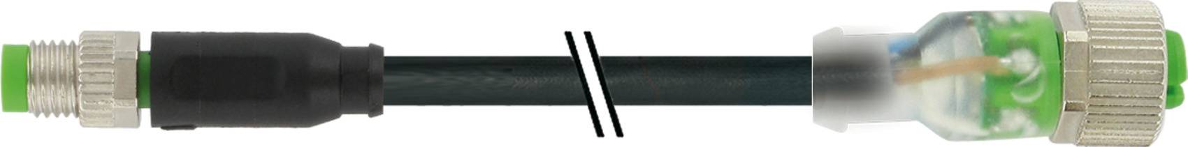 Zwei gegenüberliegende Steckverbinder an einem Kabel: Links ein runder Steckverbinder, rechts ein durchsichtiger mit freiliegendem Draht.