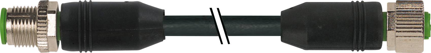 Murrelektronik 7999-40041-6380200 Sensor-/Aktor-Steckverbinder, konfektioniert M12 x 1 Stecker, gerade, Buchse, gerade 2.00m