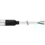 Murrelektronik 7000-23251-4522000 Sensor-/Aktor-Steckverbinder, unkonfektioniert M23 x 1 Buchse, gerade 20.00m Polzahl Sensoren Murrelektronik 7000-23251-4522000 Sensor-/Aktor-Steckverbinder, unkonfektioniert M23 x 1 Buchse, gerade 20.00m Polzahl Sensoren