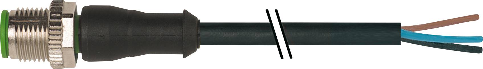 Steckverbinder mit schwarzem Kabel, durchgeschnitten, zeigt drei freiliegende Drähte in braun, blau und grün.