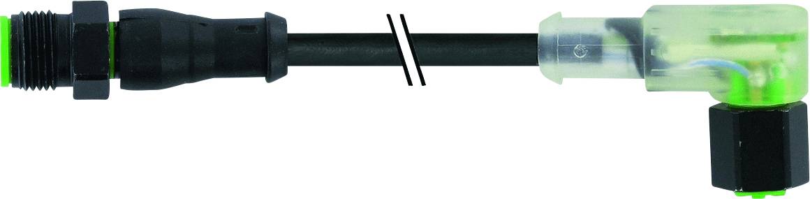 Ein M12-Steckverbinder mit Kabel und Eckstück in einer Schnittdarstellung, grün markierte Kontaktpunkte.