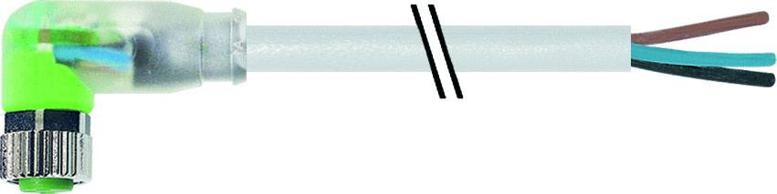 Ein grüner, gewinkelter Kabelstecker mit transparentem Gehäuse und drei herausragenden Drähten in den Farben Blau, Braun und Schwarz.