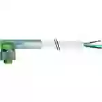 Murrelektronik 7000-12421-2341000 Sensor-/Aktor-Steckverbinder, unkonfektioniert M12 x 1 Buchse, gewinkelt 10.00m Polzahl Murrelektronik 7000-12421-2341000 Sensor-/Aktor-Steckverbinder, unkonfektioniert M12 x 1 Buchse, gewinkelt 10.00m Polzahl