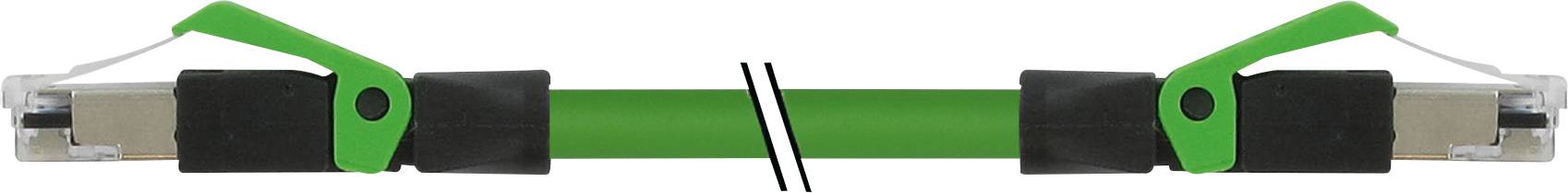 Grüner Widerstandsbandgriff mit schwarzem Schaumstoffgriff und Metallkarabiner an jedem Ende. Geeignet für Fitnessübungen.