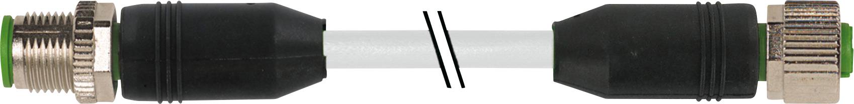 Nahaufnahme eines M12-Steckers mit Buchse und Stecker, verbunden über ein kurzes Kabel. Geeignet für Sensor-/Aktor-Verbindungen in der Automatisierungstechnik.