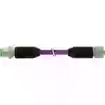 Murrelektronik 7000-44051-7990300 Sensor-/Aktor-Steckverbinder, konfektioniert M12 x 1 Stecker, gerade, Buchse, gerade 3.00m Murrelektronik 7000-44051-7990300 Sensor-/Aktor-Steckverbinder, konfektioniert M12 x 1 Stecker, gerade, Buchse, gerade 3.00m