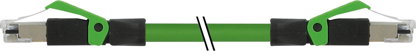 Grüner Widerstandsband mit schwarzen Griffen und Metallteilen, ideal für Fitnessübungen und Krafttraining.