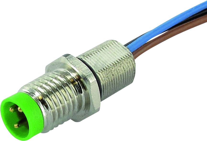 Grüner M8-Steckverbinder mit vier Pins und Kabel in Blau und Braun. Verwendet für elektronische Verbindungen.