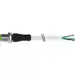 Murrelektronik 7000-12041-2350150 Sensor-/Aktor-Steckverbinder, unkonfektioniert M12 x 1 Stecker, gerade 1.50m Polzahl Sensoren Murrelektronik 7000-12041-2350150 Sensor-/Aktor-Steckverbinder, unkonfektioniert M12 x 1 Stecker, gerade 1.50m Polzahl Sensoren