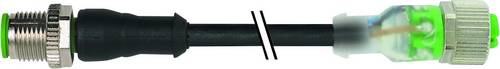 Murr Elektronik 7000-40311-6540200 Sensor-/Aktor-Steckverbinder, konfektioniert 2.00m 1St.