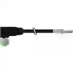 Murrelektronik 7000-13281-6430500 Sensor-/Aktor-Steckverbinder, unkonfektioniert M12 x 1 Buchse, gewinkelt 5.00m Polzahl Murrelektronik 7000-13281-6430500 Sensor-/Aktor-Steckverbinder, unkonfektioniert M12 x 1 Buchse, gewinkelt 5.00m Polzahl