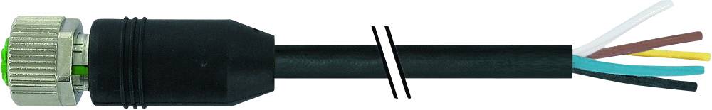 Murrelektronik 7000-17041-7221000 Sensor-/Aktor-Steckverbinder, unkonfektioniert Buchse, gerade 10.00m Polzahl Sensoren: 8 1St.