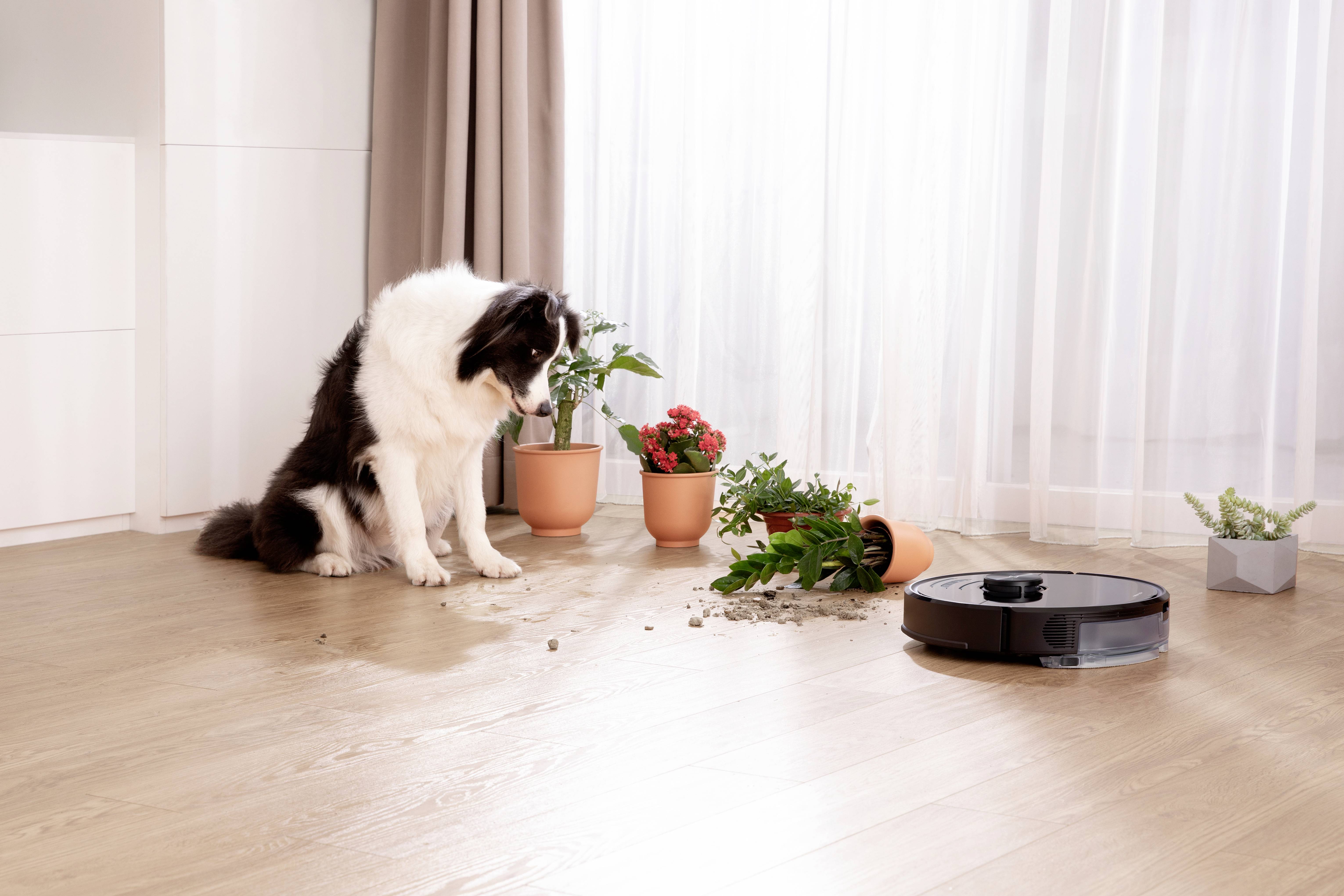 Roborock S6 MaxV Saugroboter Schwarz App gesteuert