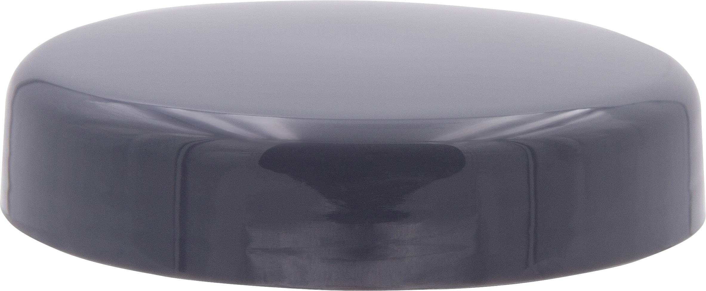 MediaShop NutriBullet® Smoothie-Maker 600 W Grau