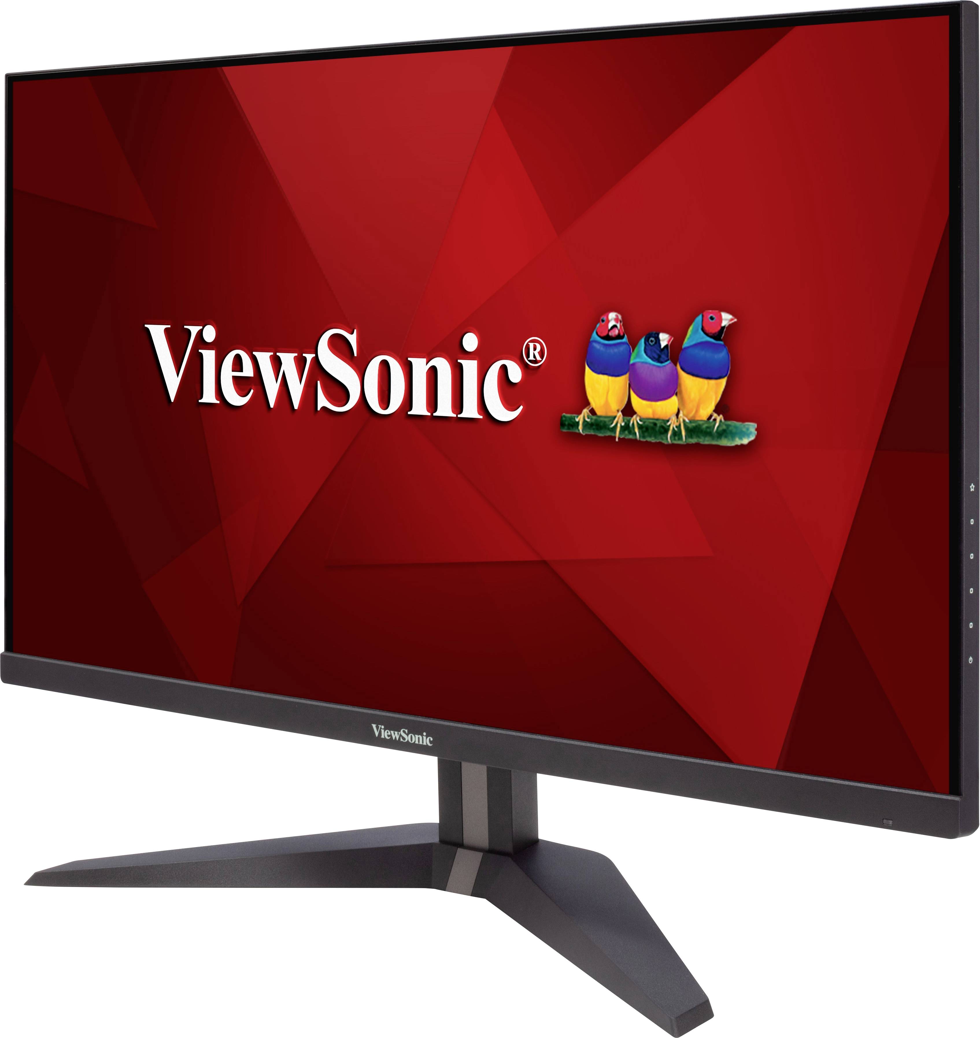 Ein Computermonitor der Marke ViewSonic mit einem roten Hintergrund und drei bunten Vögeln im Logo auf dem Bildschirm.