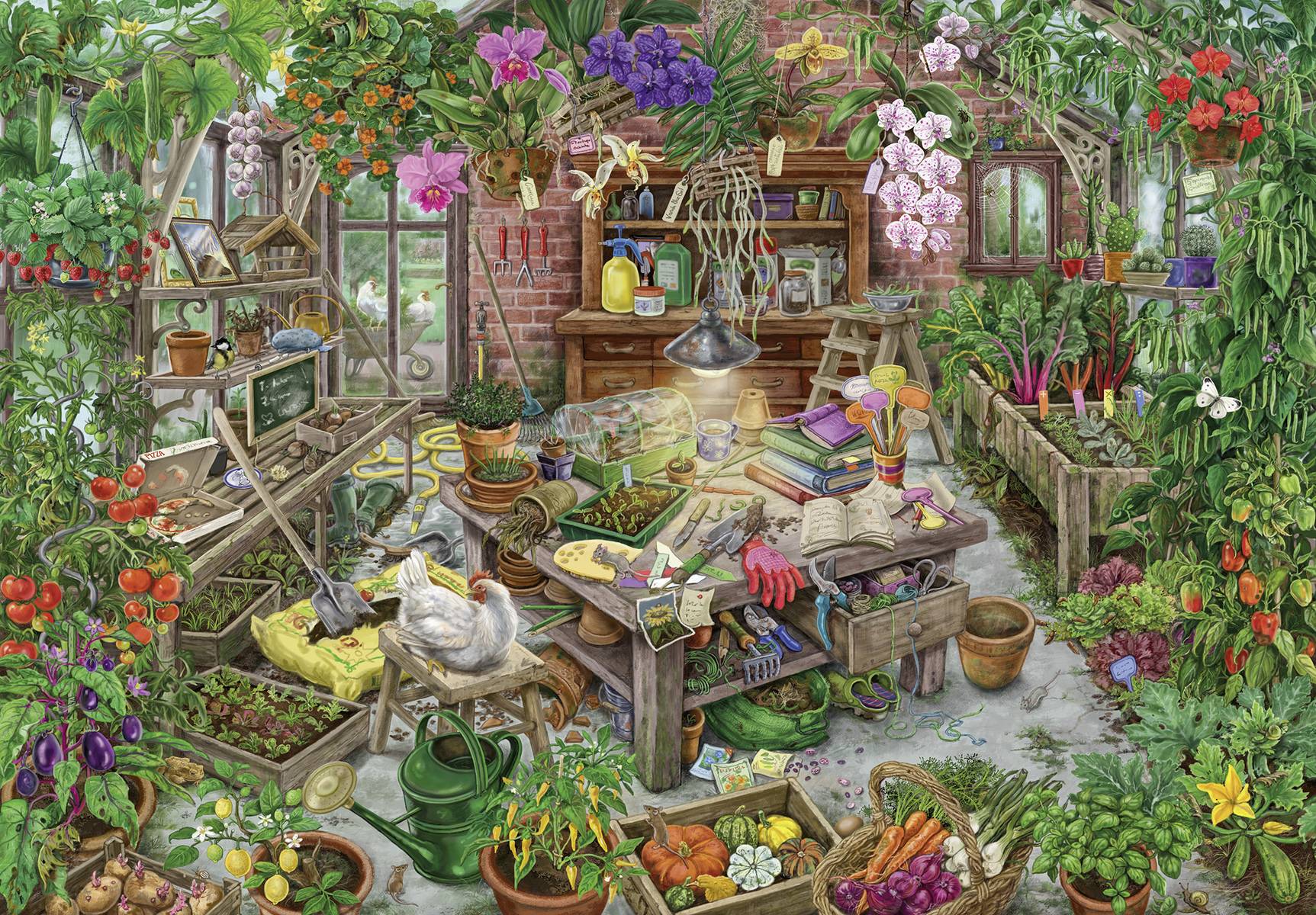 Exit Im Gewächshaus 368p 16483 Exit Im Gewächshaus 368p 1 St.