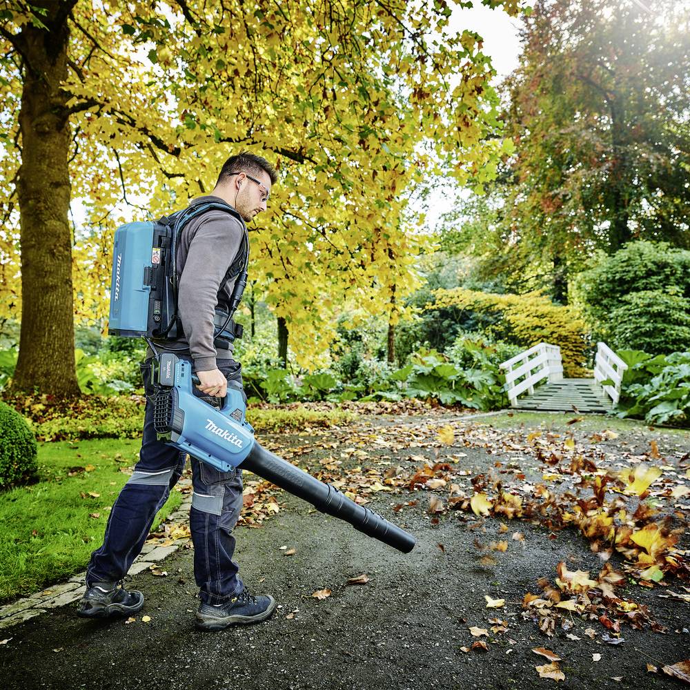 Eine Person bläst mit einem Laubbläser Herbstlaub von einem Weg in einem Park. Im Hintergrund sind grüne und herbstlich gefärbte Bäume.