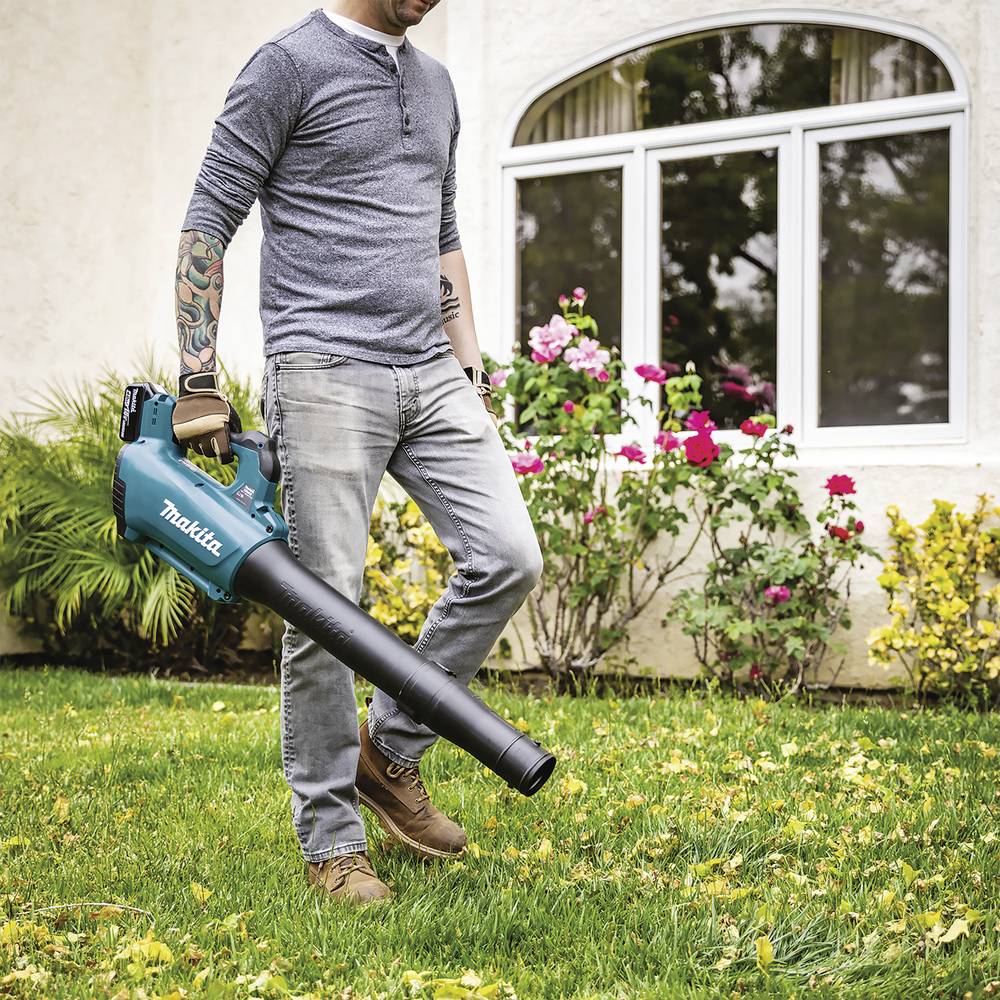 Mann bedient Laubbläser im Garten, umgeben von grünem Rasen und blühenden Rosensträuchern vor einem hellen Haus.
